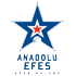 ANADOLU EFES