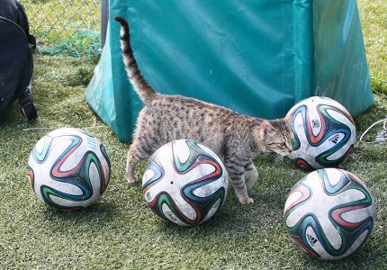 Δείτε τη φωτό που τα σπάει! Έξυπνοι είστε...