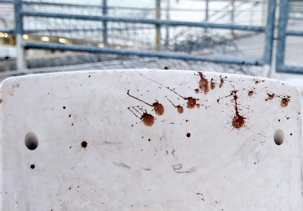 Έχει δίκιο ο Μπέος, από μύτη δεν βγαίνει τόσο αίμα (photos)