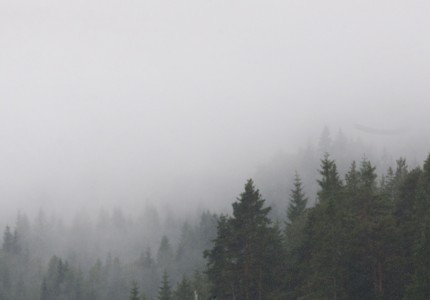 Η σημερινή προπόνηση μέσα από εικόνες