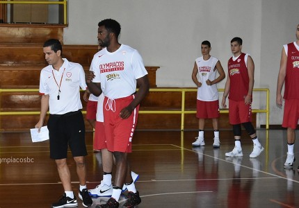 Σκληρή δουλειά στο Μέτσοβο (photos)