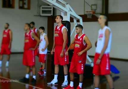 Σκληρή δουλειά στο Μέτσοβο (photos)