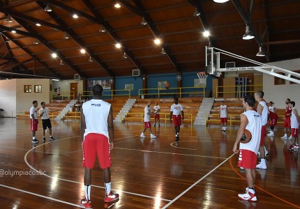 Σκληρή δουλειά στο Μέτσοβο (photos)
