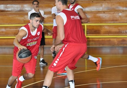 Σκληρή δουλειά στο Μέτσοβο (photos)