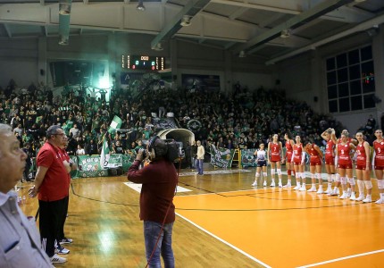 Ζούγκλα... (photos)