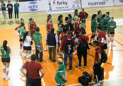 Ζούγκλα... (photos)