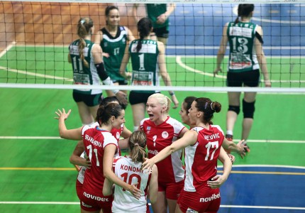 Κούπα μέσα στο σπιτάκι τους (photos)