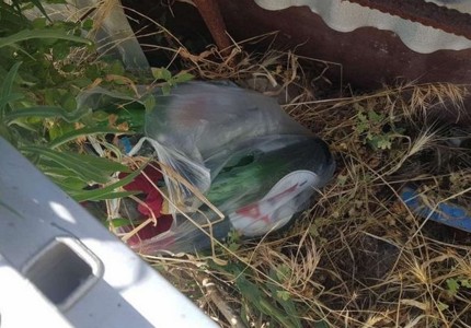 Βόμβες μολότοφ κοντά στη Ριζούπολη! (photos)