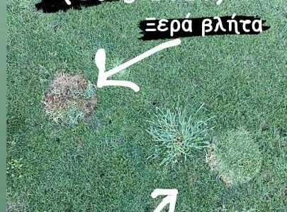 Ο αγωνιστικός χώρος είναι «ξερά βλήτα, σαλάτα ρόκα» (photo)