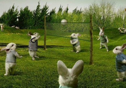 Αυτοκράτορας vs «Κουνέλια» η Ιστορία γράφει … 57-27 στους τίτλους!