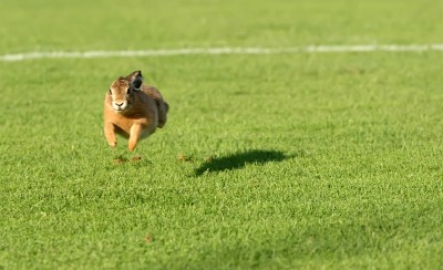 Ακόμα κι εκεί... δεύτεροι! (video)