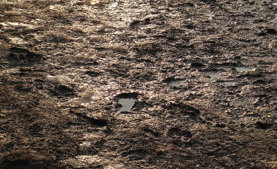 Κάνουν ό,τι μπορούν...