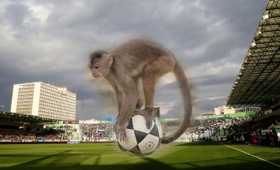 Μαϊμούδες στη Λεωφόρο!