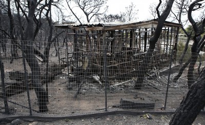 Δεν έχει τελειωμό: Βρέθηκαν κι άλλοι νεκροί!