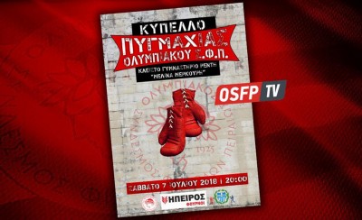 Αντίστροφα για το πρώτο Κύπελλο Πυγμαχίας