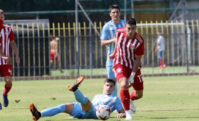 Επιτυχημένη επέμβαση για Κωστανάσιο