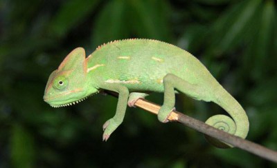 Μιλάνε όλοι, μιλάει και ο δεν ξέρω τι ομάδα είμαι
