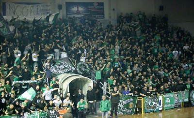 Ζούγκλα... (photos)