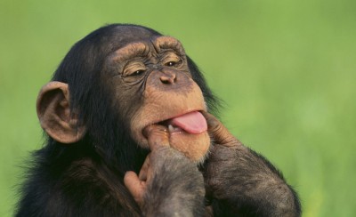 Τις ρόμπες σας μην ξεχάσετε να κουμπώσετε