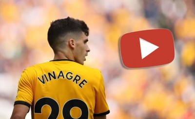 Τι του έκανε ο άνθρωπος… (video)