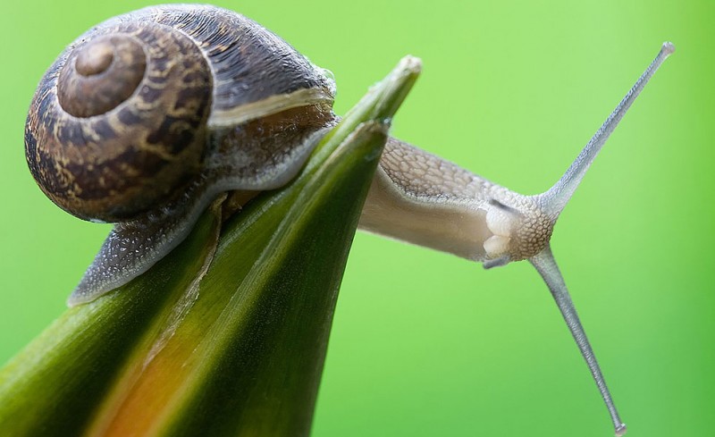 Πανηγυρίσατε και πρόκρισή μας!