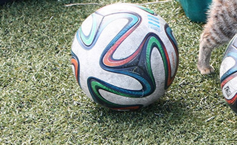 Δείτε τη φωτό που τα σπάει! Έξυπνοι είστε...