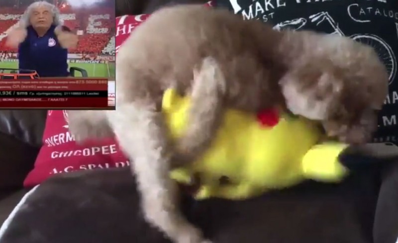Τα... σπάει το video με Τσουκαλά και Pokemon! (video)