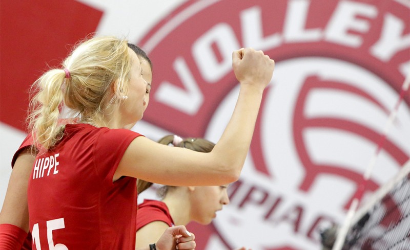 Αρθροσκόπηση η Χίππε