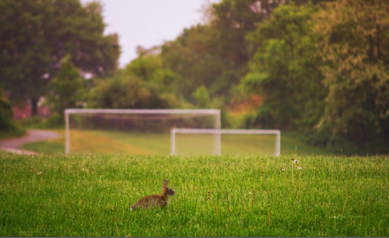 Αλλάζει έδρα ο Παναθηναϊκός!