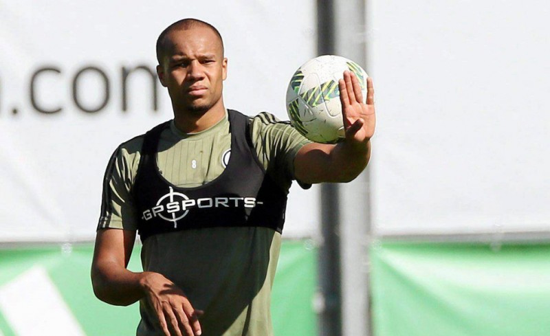 Διχάστηκαν οι Πολωνοί για τον Οφόε!