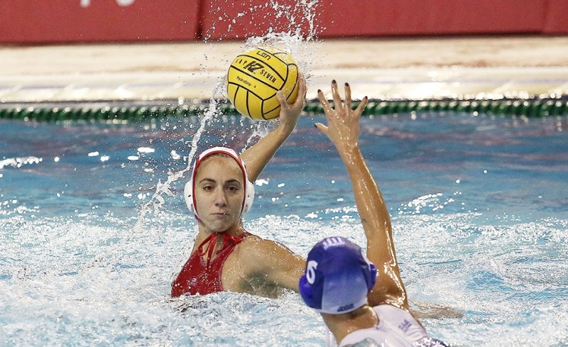 Το πρόγραμμα του Ερασιτέχνη...