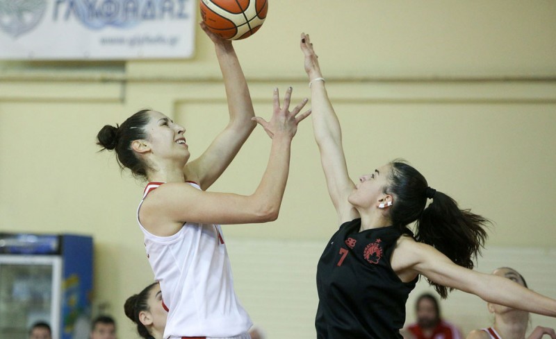 Κατοστάρα και μπασκετάρα