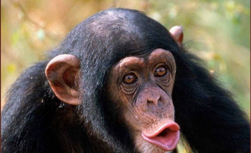 Η απάντηση της Θύρας 7 με ένα... μυθιστόρημα!