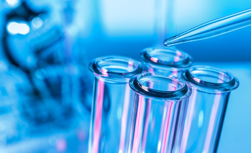 Κανένας νέος θάνατος, 20 νέα κρούσατα