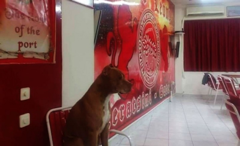 Λεόνε δεν σε ξέχασε κανείς! (photo)