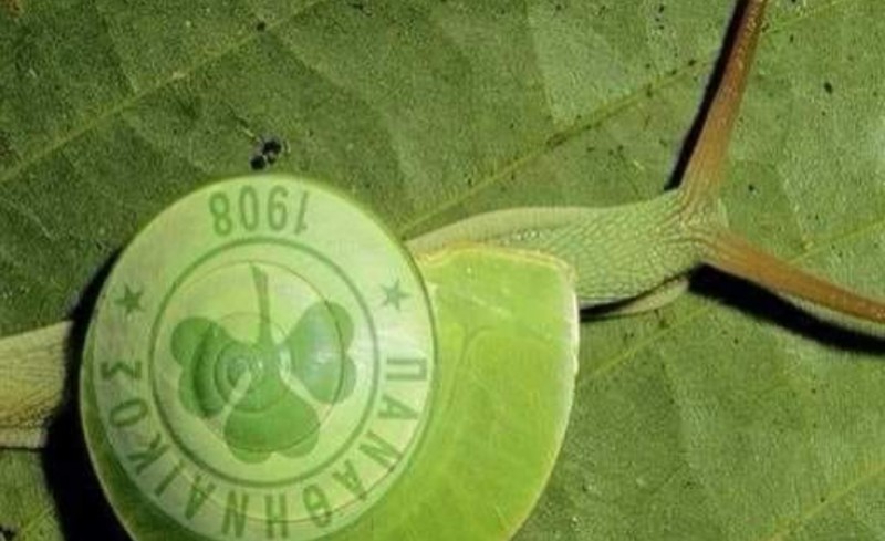 Θα «χρειαστούν» και άλλα εις βάρος μας «εγκλήματα» για να χαθεί το φετινό!